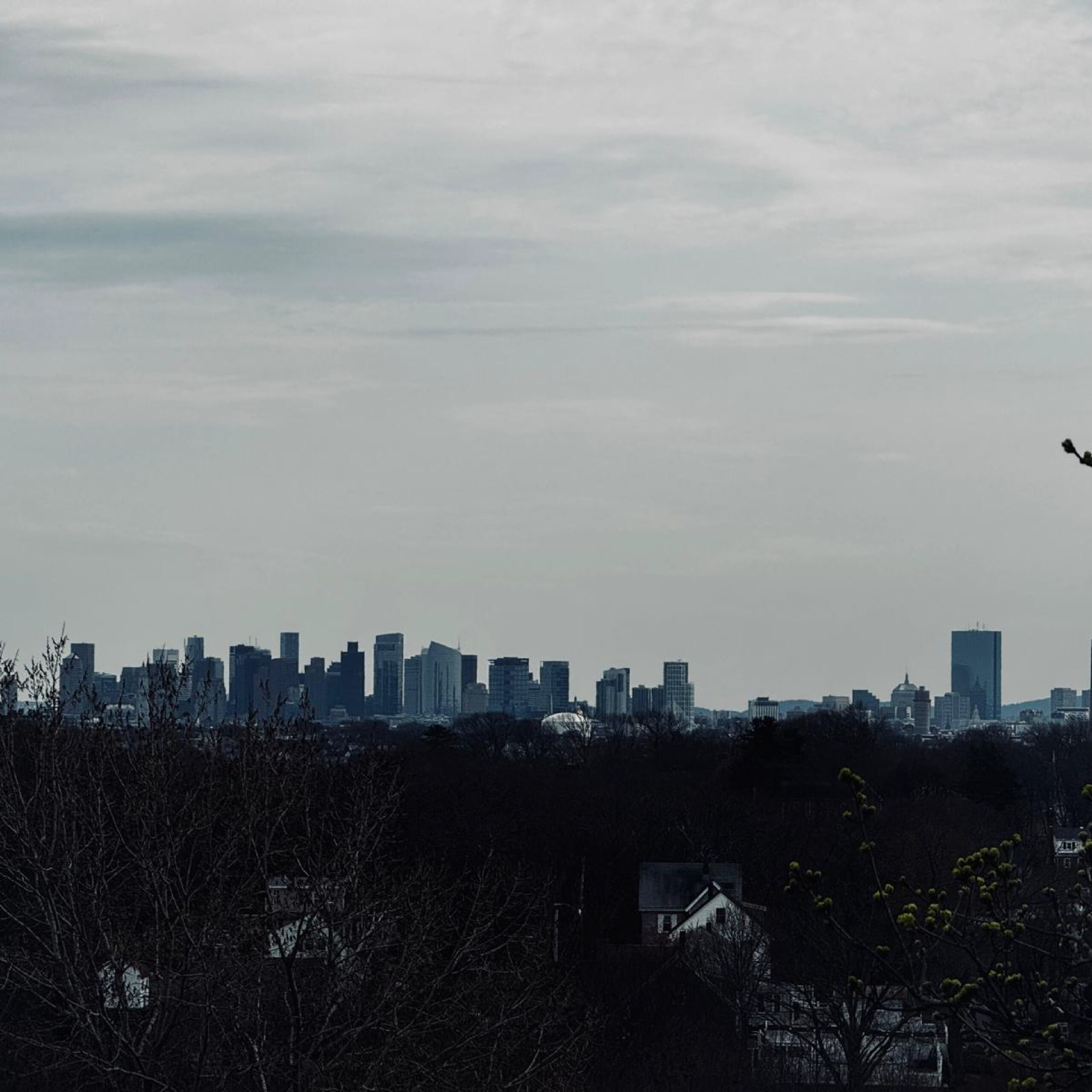 City skyline view from a Family Realty Holdings residential development site